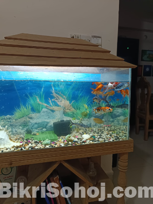 Aquriam ৩০ ইঞ্চি / ১৫ ইঞ্চি